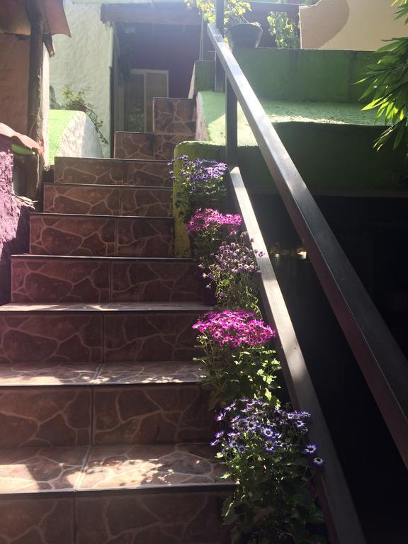 Hôtel Mi Aldea Holistica à Mexico Extérieur photo