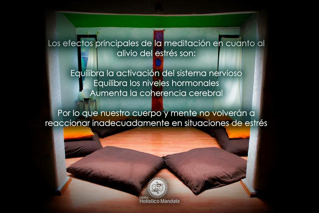 Hôtel Mi Aldea Holistica à Mexico Extérieur photo