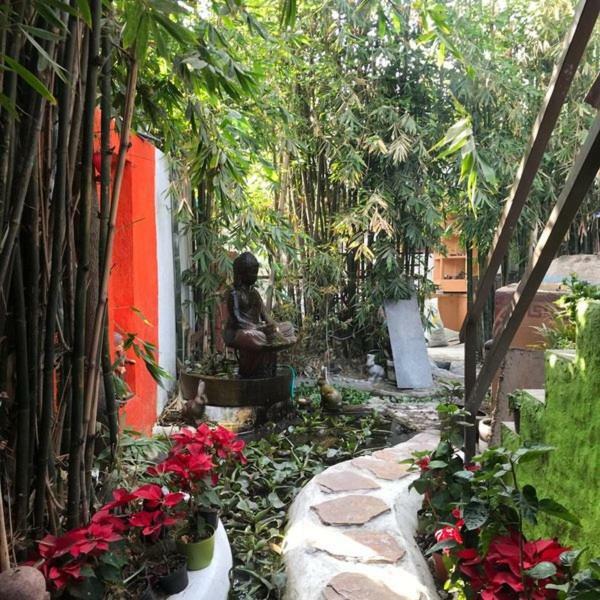 Hôtel Mi Aldea Holistica à Mexico Extérieur photo
