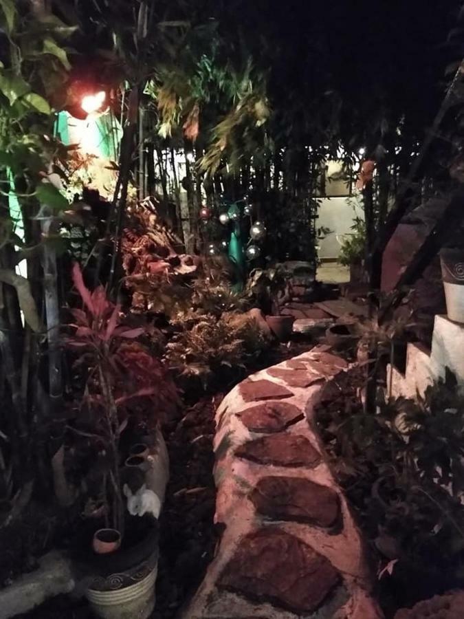 Hôtel Mi Aldea Holistica à Mexico Extérieur photo
